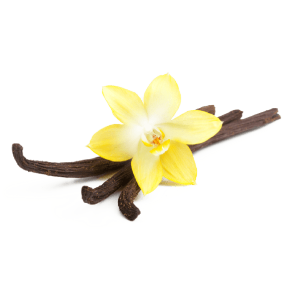 Vanilla